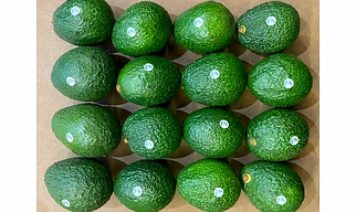 Avocado Hash
