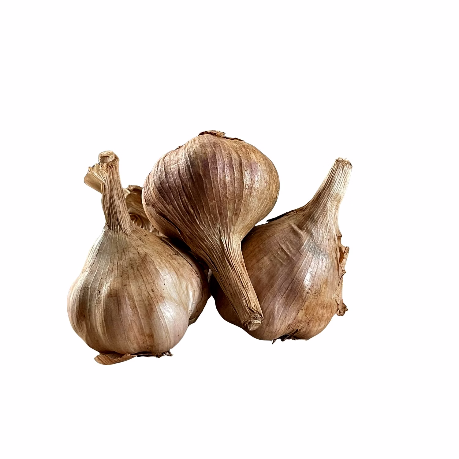 Kodaikaanal premium smoked Garlic (GI Tagged) image 3