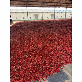 dry red chilli