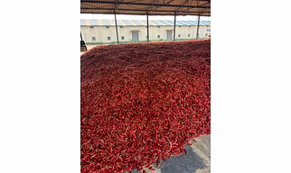 dry red chilli