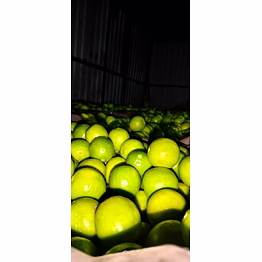 lemons