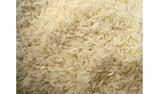 SONA MASOORI RAW RICE