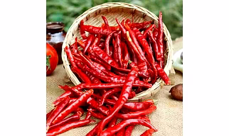 Super 10 Chillies
