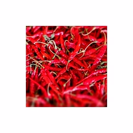 s17 teja chilli
