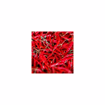 s17 teja chilli