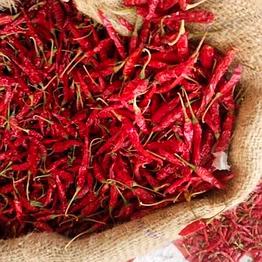 romi 26 chilli is a guntur