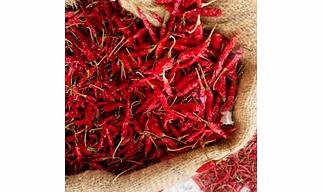 Romi 26 Chilli is a Guntur