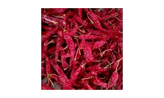 Byadgi Dabbi Chilli