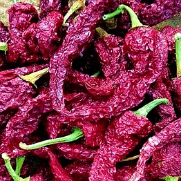 byadgi dabbi chilli