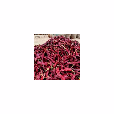 byadgi kdl (kaddi) chillies