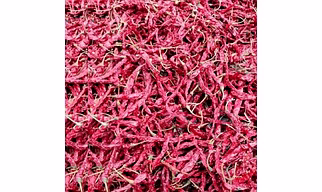 Byadgi KDL (Kaddi) Chillies