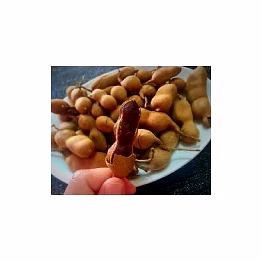 tamarind