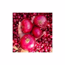 onion