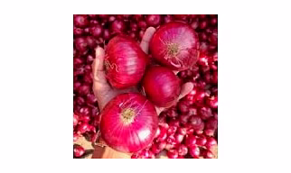 Onion