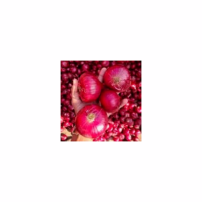 onion