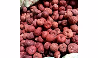 Areca nut