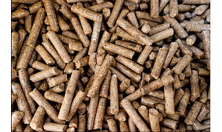 Biomass Pallets