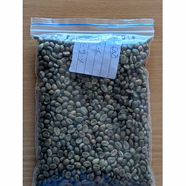 robusta grade a coffee beans