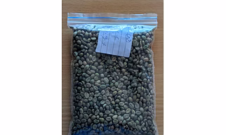Robusta Grade A Coffee Beans