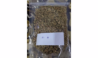 Arabica Plantation Grade A