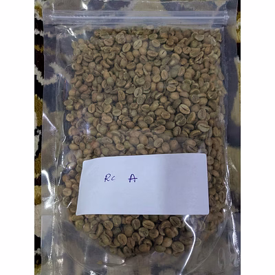 arabica plantation grade a