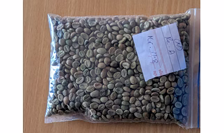 Arabica Grade B