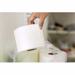 toilet roll 80gm