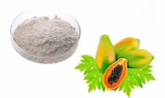 Papain Enzyme Powder