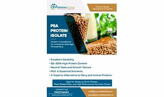 Pea Protein Isolate Powder
