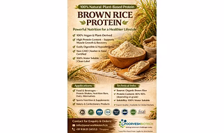 Brown Rice Protein Isolate - 80%