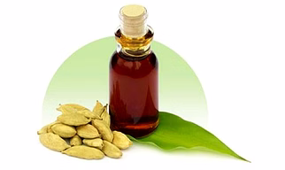 Cardamom Oleoresin