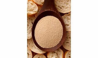 Yeast Extract Powder