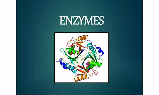 Enzymes