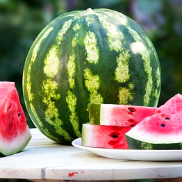 watermelon