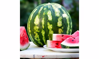 Watermelon