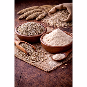 Bajra - Pearl Millet