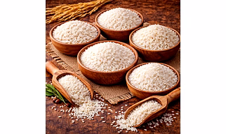 Rice