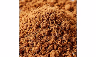 Buffered Coco Peat – Low EC (Premium Grade)