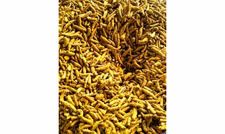 Turmeric fingers