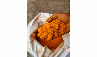 Turmeric powder