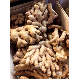 raw ginger