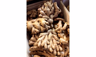 Raw Ginger