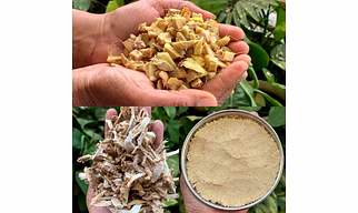 Dehydrated Ginger (Flakes & Powder)