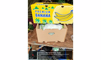 Fresh Bananas