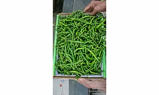 Fresh Green Chillies