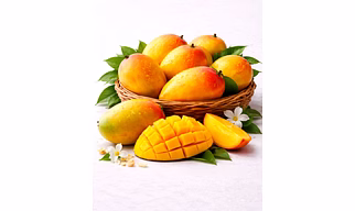 Kesar Mango for Importers, Distributors, and Foodservice Buyers | Fresh Fruits Export Supply