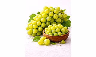 Thompson Seedless Grapes for Importers, Distributors, and Foodservice Buyers | Fresh Fruits Export Supply