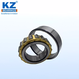 kz cylindrical roller bearings