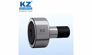 KZ Cam followers