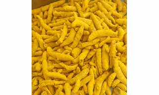 Salem Turmeric Finger Polished